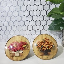 Antique Dried Flowers Bubble Glass Dome Convex Small Pictures Set of 2