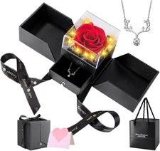 Preserved Red Real Rose with Necklace Eternal Flower Rose Birthday Gifts for Wom