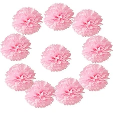 10pcs Tissue Hanging Paper Pom-poms Flower Ball Wedding Party Decoration Pink