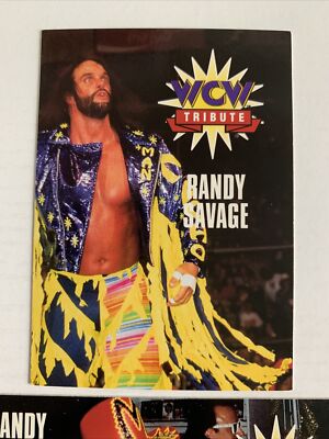 1995 Cardz WCW Tribute: Randy 
