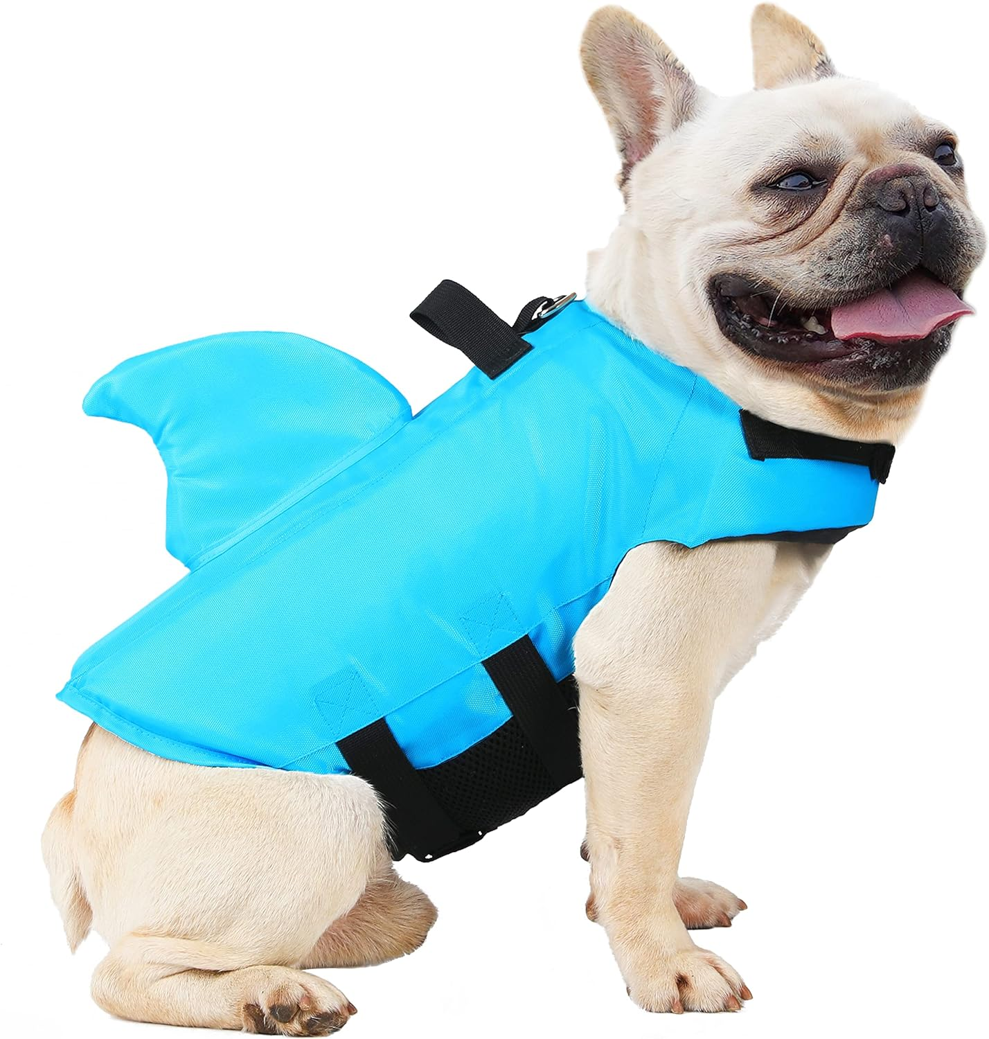 Giubbotto Di Salvataggio Per Cane Navaris - Galleggiante Per Spiaggia E Piscina - Taglia L, Verde Brillante - Foto 9