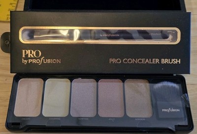 PROFUSION HIGHLIGHT MAKEUP SET W/ BONUS BRUSH