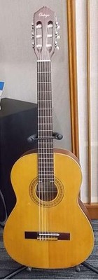 ORTEGA R121SN Classic Guitar - Beautifully Crafted
