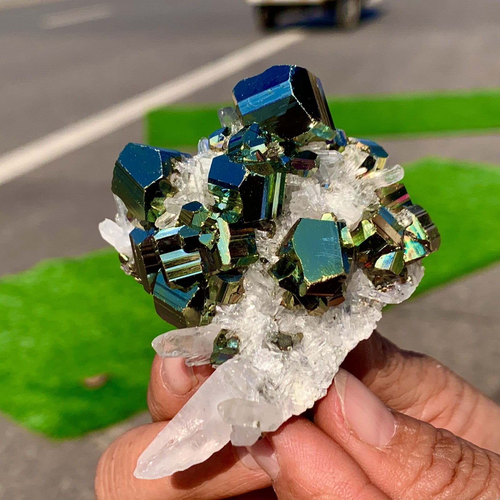 133G Natural colorful chalcopyrite clear Cluster coexisting crystal mineral