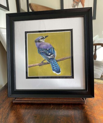 Original Kunstwerk - American Blue Jay - gerahmt und montiert - Wildlife Serie