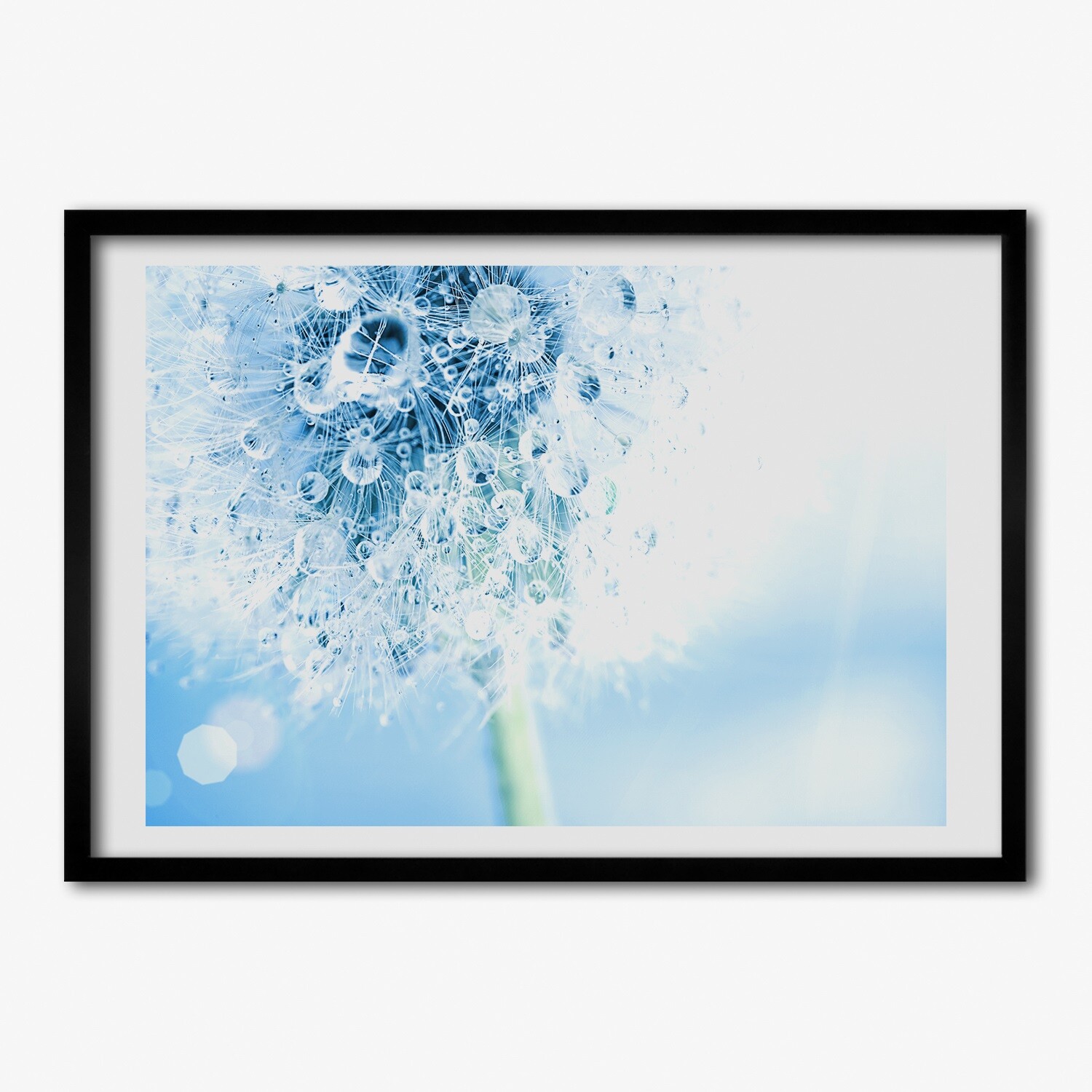 Pinturas de Pared con Marco de Madera MDF Negro 100x70 Diente de león