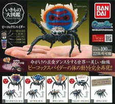 Ikimono Encyclopedia Peacock Spider All 5 type set Gashapon Miniature Figure 