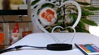 Video 1 von 1