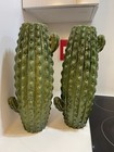2 Set Ceramic Bottle Vases Cactus