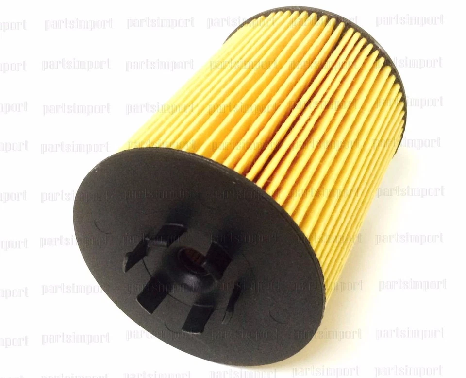 ACEITE GENUINO BMW 9 CUARTOS + FILTRO SEMENTAL OEM E60 545i E63 645Ci E65 745i E53 X5 Foto 4 de 4