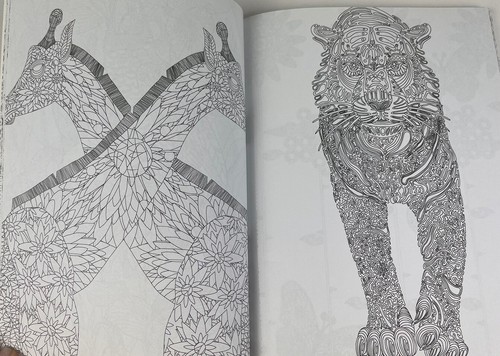 Adult Coloring Books, Set of 2, Flying Wonders & Natural Wonders, Unused - Picture 4 of 4