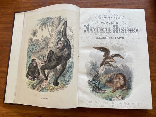 c1870 CASSELL'S POPULAR NATURAL HISTORY 4 VOLUMES LEATHER COLOURED ENGRAVINGS