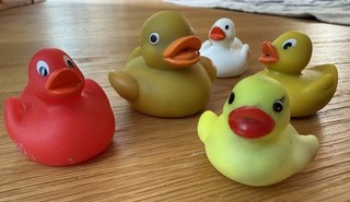 5 kleine Quietsche Entchen Badeente