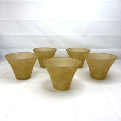 Progress Lighting Bravo Chandelier Pendant Replacement Etched Umber Linen Glass