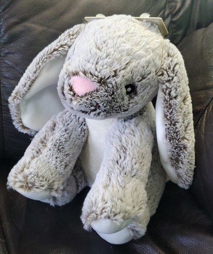 kellytoy bunny dog toy