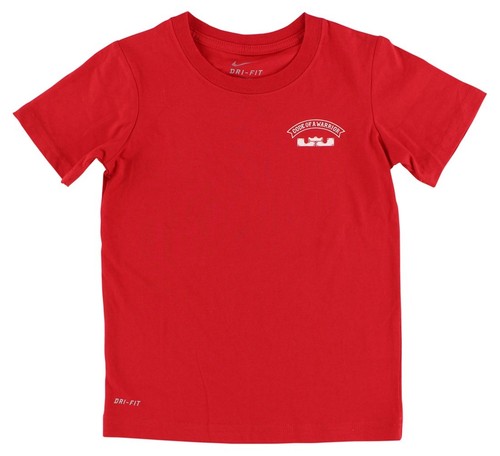NIKE Dri-Fit Lebron Code of a Warrior 