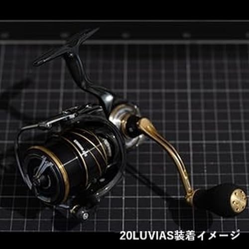Daiwa Slp Works SLPW LT Type- Spool 2 2500SS Black 413 | eBay