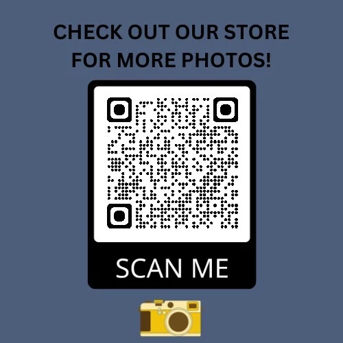 AUTÓGRAFOS DE BÉISBOL 8,5X11 REIMPRESIÓN DE FOTO DE BABE RUTH LOU GEHRIG TY COBB NY YANKEES Foto 3 de 4