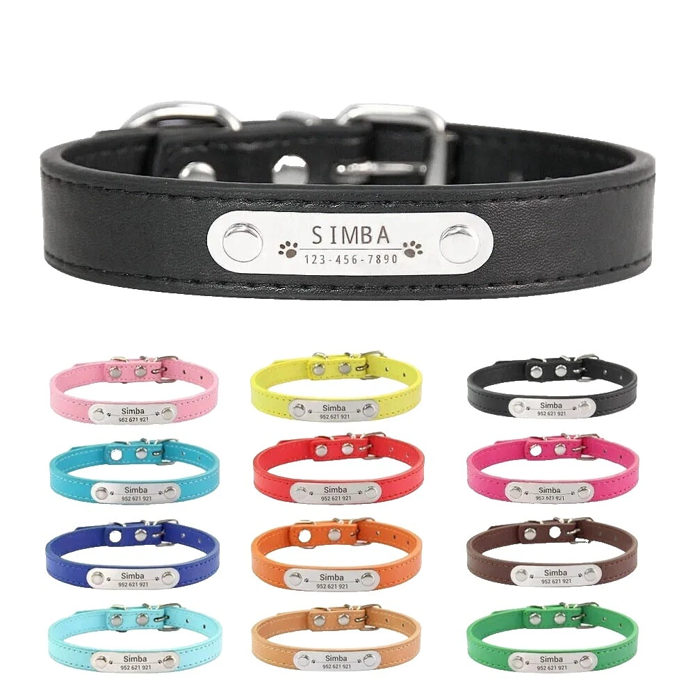 Wi-Fi Dog Collars
