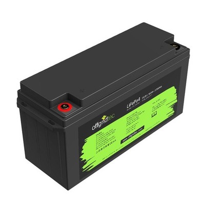 Akku LifePo4 2560Wh 25,6/100 25,6V 100Ah BMS integriert Offgridtec