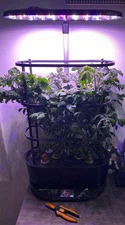 AeroGarden Bounty Trellis