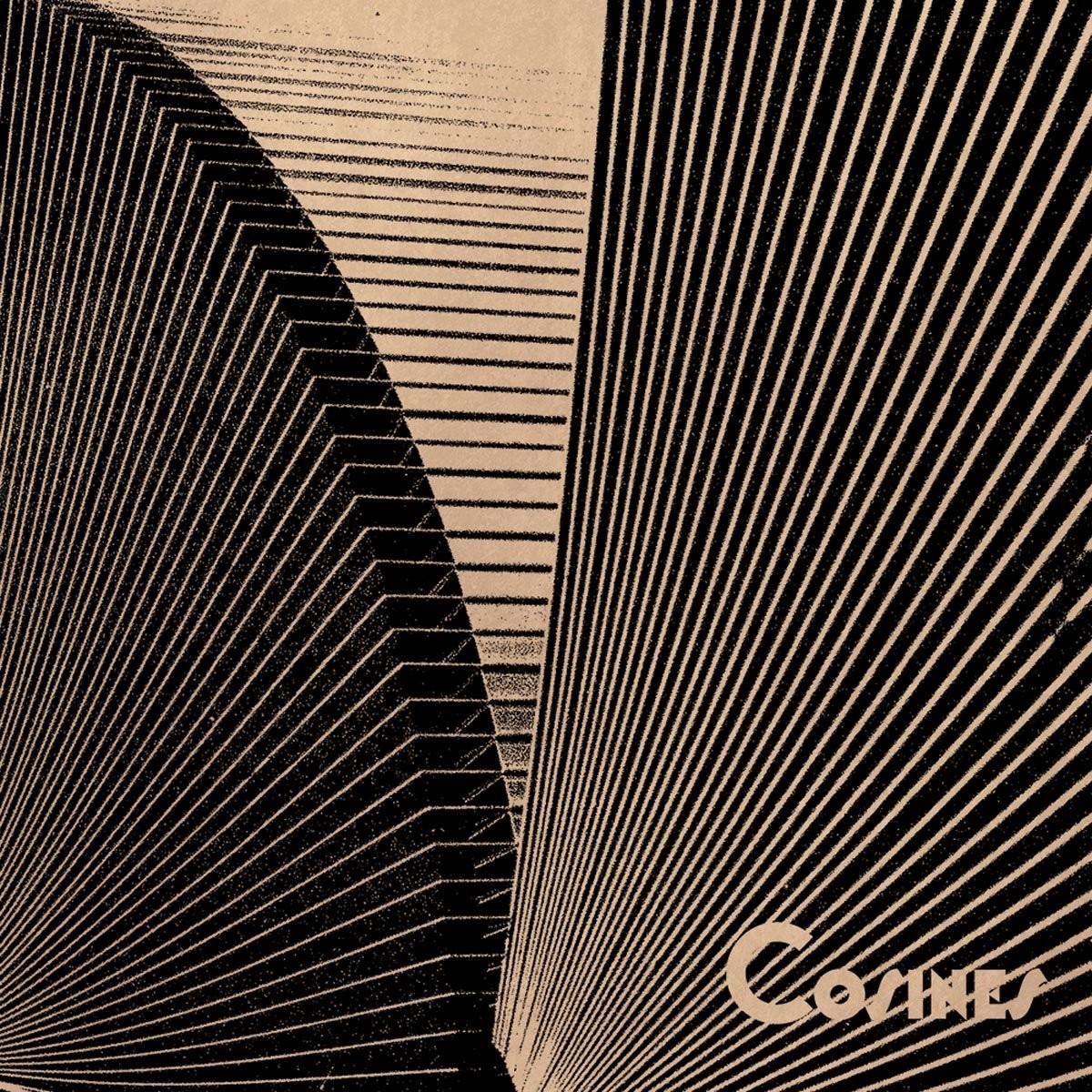 Cosines Transitions 10 Inch Vinyl FIKA055 NEW