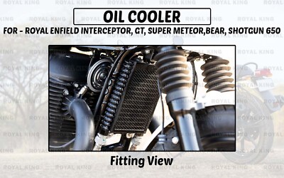 Garde-Radiateur / Protection De Refroidisseur D'Huile Noir Pour Royal Enfield Interceptor 650 - Neuf