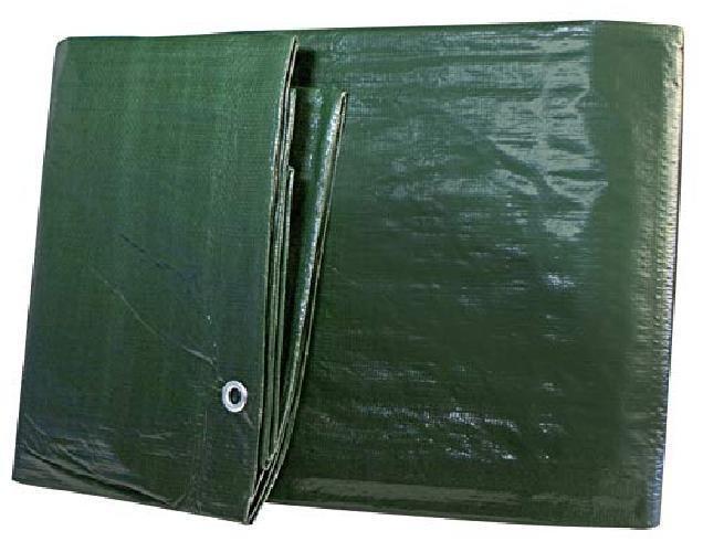 Windhager Telo protettivo da giardino MEDIUM, verde, 100 g/m², 5 x 6 m, 07033