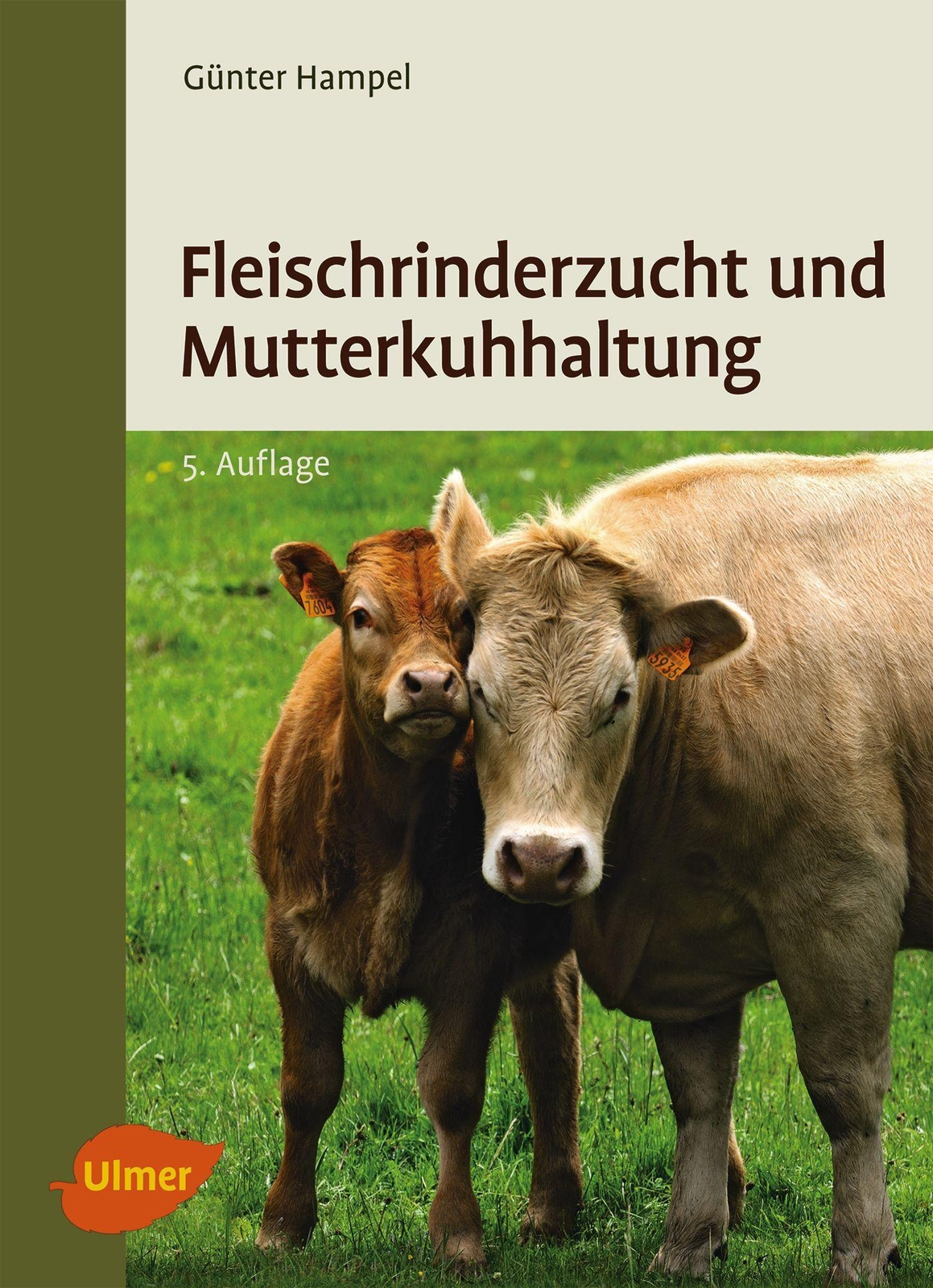 Fleischrinderzucht Und Mutterkuhhaltung | Günter Hampel | Taschenbuch