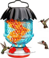Blue Hand Blown Glass Hummingbird Feeder with Perch 48 OZ Weatherproof Solar ...