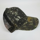 Foto 1 di 7