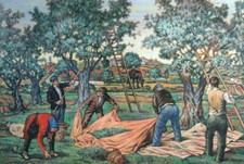 GIAMBECCHINA lotto di 3 cartoline riproduzioni artistiche - segni della memoria