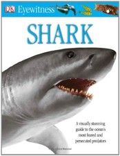 Shark By Miranda Macquitty