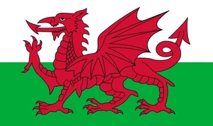 Wales Welsh Flag Self Adhesive Sticker