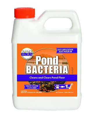#ad Pond Worx Pond Bacteria Concentrated for Large Ponds 32 Ounces $31.49