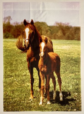 THOROUGHBRED HORSE MARE FOAL FARM DERBY RACE LARGE YARD FLAG NEW
