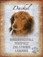 Holzschild 40X30 Cm Dackel Hund Lebendig Deko Geschenk Holz Schild