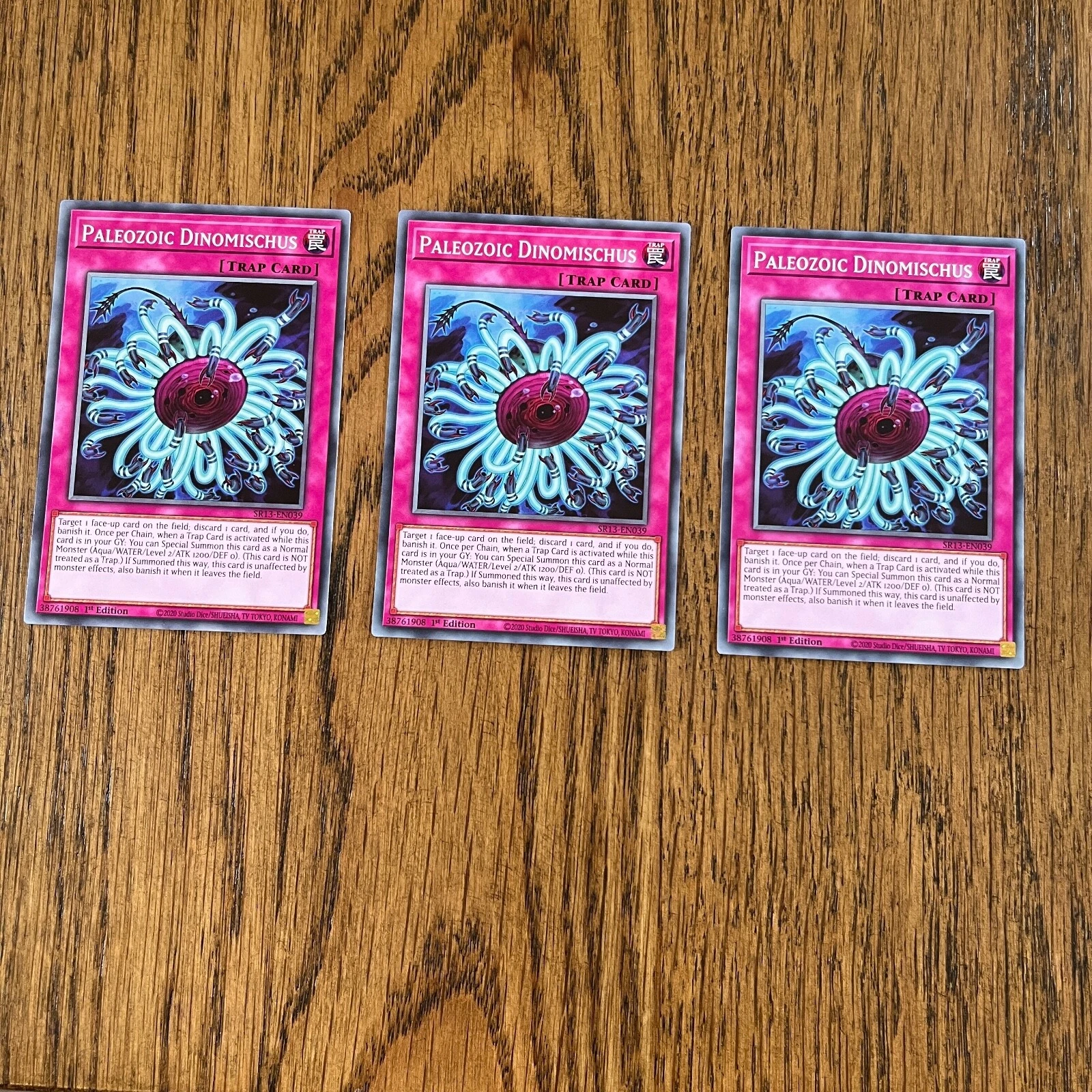 Picture 9 of 24