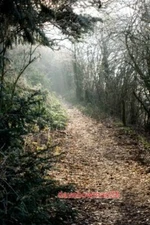 PHOTO  PRESTON GUBBALS PATH PIM HILL THE WALK AROUND PIM HILL AND BACK OVER ITS