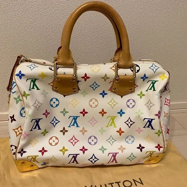 Louis Vuitton Louis Vuitton Speedy 30 White Multicolor Monogram