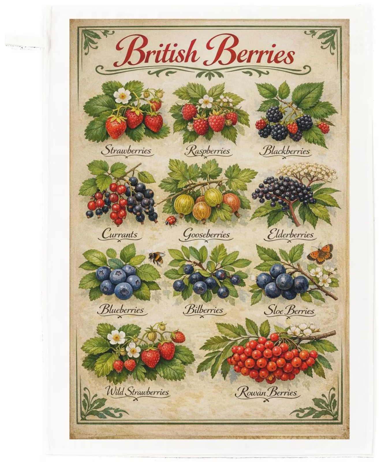 British Berries Cotton Tea Towel – Vintage Botanical Kitchen Towel