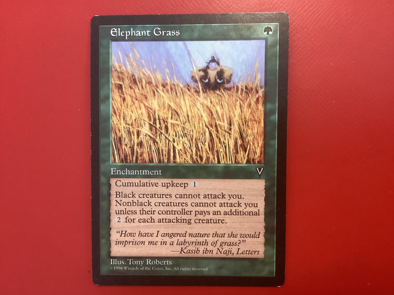 MTG VISIONS ELEPHANT GRASS CARD ENGLISH
