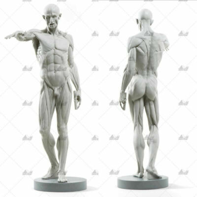 Man Model 02 3D Printing Unpainted Figure Blank Kit Model GK New Hot Toy Stock