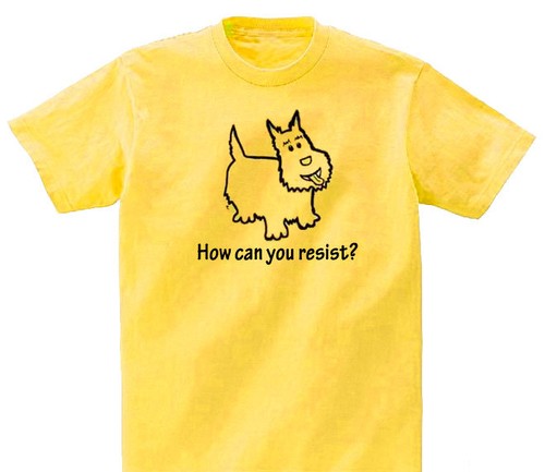 Scottish Terrier Dog My Obsession, Any Questions? T-shirt Choices - Picture 5 of 11