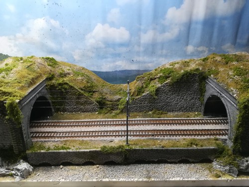DIORAMA PLASTICO FERROVIARIO Pd23 - Foto 5 di 6
