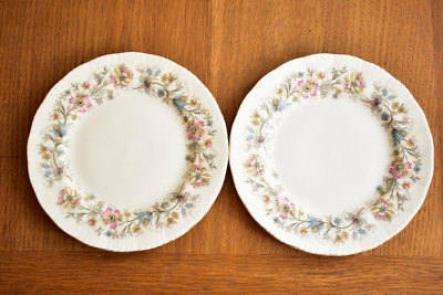 PARAGON PORZELLAN WIESENTAL TEE-/BEILAGENTELLER X 2