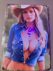 Vintage Metal Signs Sexy  Hot Woman Poster Pinup Girl Tin Sign Wall Art