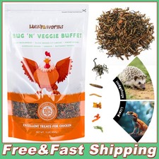 1 LB Worm  Garden Blend Natural High-Protein Food for Turtles, Reptiles, Cats