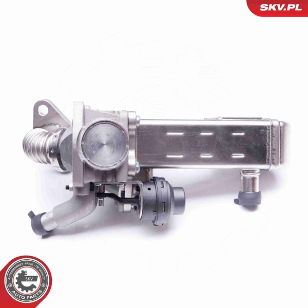 Esen SKV AGR Ventil 14SKV135 FüR Nissan Navara NP300 D40 Pathfinder 3 R51 F24M-image
