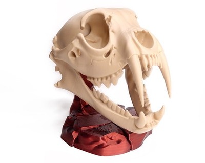 Säbelzahn Tigerschädel 3D gedruckt Smilodon Trophäe auf Felssockel prähistorischer Modus